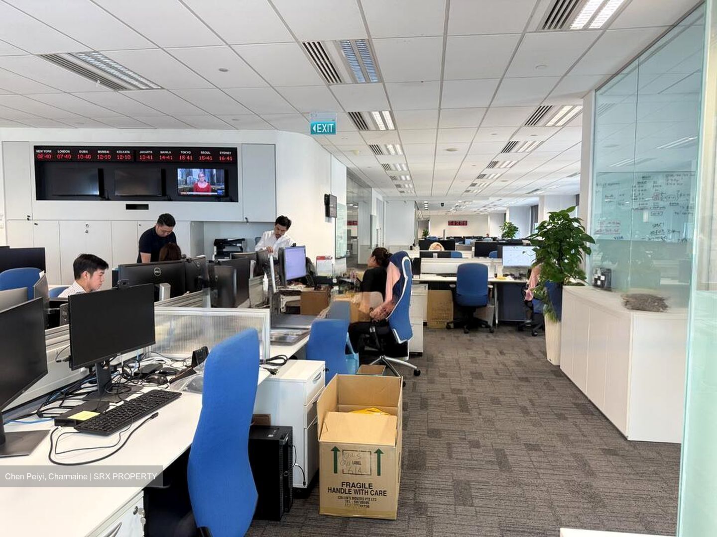 Mapletree Anson (D2), Office #451553891